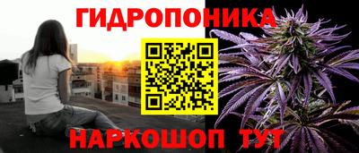 МДПВ Краснознаменск