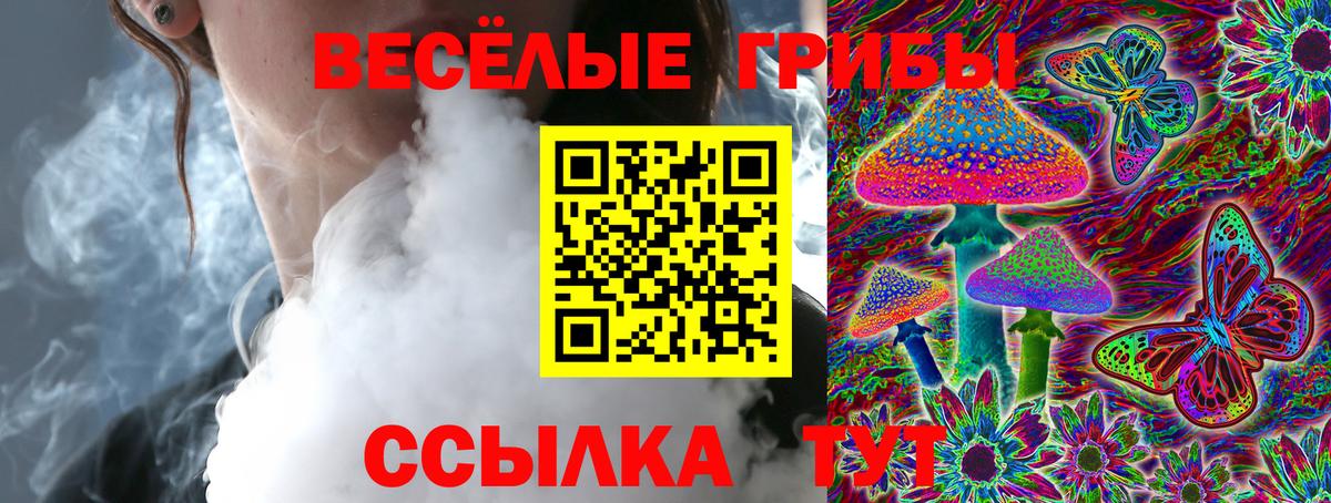 Зерноград  Галлюциногенные грибы Cubensis  Вход с VPN 